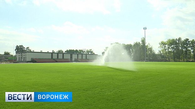 Воронежские стадионы «Чайка» и «Локомотив» введут в эксплуатацию уже в ноябре