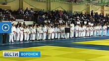 Воронежские спортсмены выступят на Чемпионате России по дзюдо