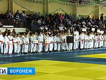 Воронежские спортсмены выступят на Чемпионате России по дзюдо