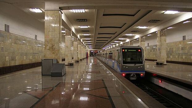Диггер заблокировал движение поездов на "синей" ветке метро в Москве