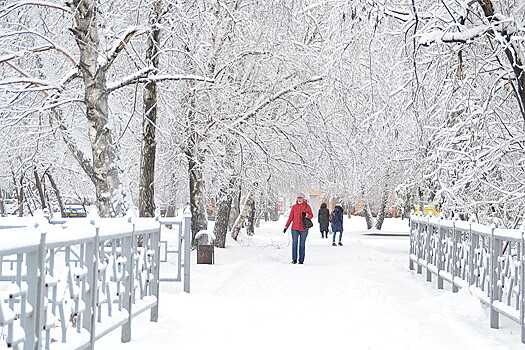 Морозная и бесснежная погода ждет москвичей на Старый Новый год
