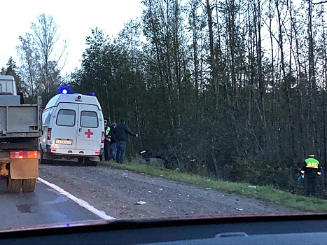 Погиб водитель: легковушка слетела в кювет и перевернулась в Лужском районе