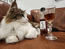 Как маркетологи зарабатывают на любви к питомцам