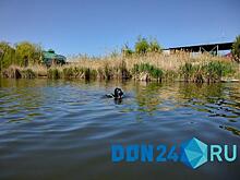 Донской спасатель рассказал, что находят водолазы на дне водоемов в Ростовской области