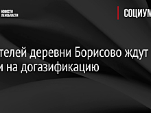 От жителей деревни Борисово ждут заявки на догазификацию
