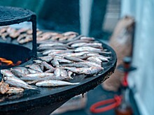 Хамса «кусается»: начальная цена за килограмм рыбы вырастет до 700 рублей на Кубани