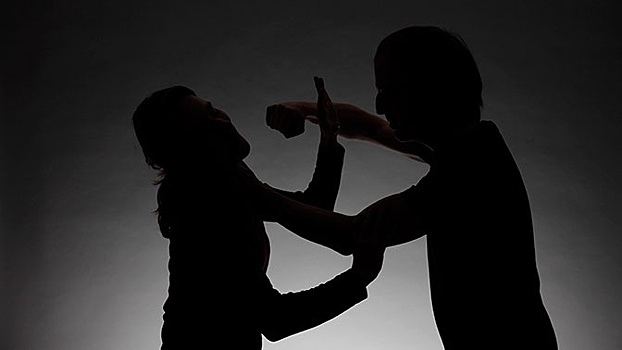 В Совфеде разъяснили суть законопроекта о домашнем насилии