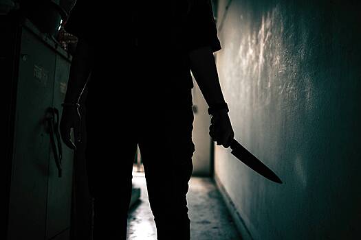 В российском регионе возбудили дело из-за нападения ребенка с ножом на свою семью