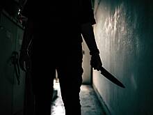 В российском регионе возбудили дело из-за нападения ребенка с ножом на свою семью