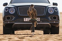 В Bentley построили Bentayga для любителей соколиной охоты