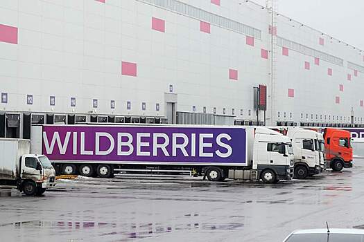 Wildberries проверят из-за досмотров с раздеванием