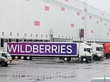 Wildberries проверят из-за досмотров с раздеванием