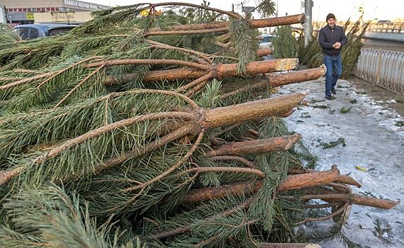 Со среды в Казани откроются елочные базары