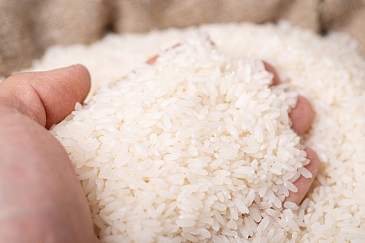 Мировые цены на рис достигли максимума с 2008 года из-за засухи и запрета его экспорта Индией