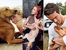 Актеры, которые жить не могут без своих собак