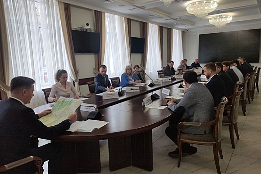 Воронежская гордума приняла участие в обсуждении проекта новой ЛЭП в Москву