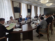 Воронежская гордума приняла участие в обсуждении проекта новой ЛЭП в Москву