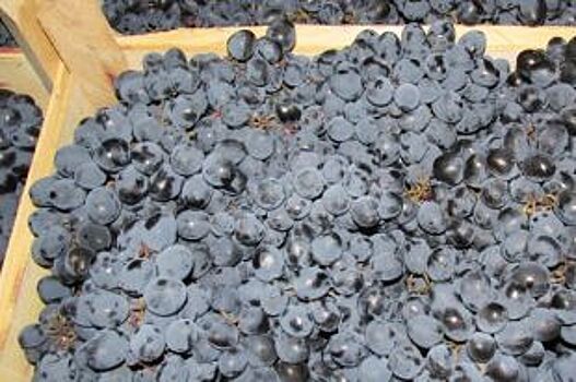 В Челябинскую область не пропустили 17 тонн азиатского винограда