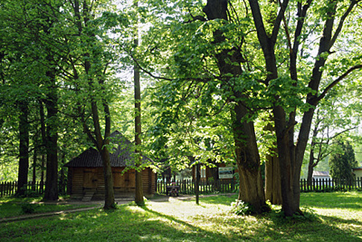 20 млн руб потратят на благоустройство парка культуры и отдыха в Чехове