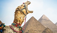 Туроператоры приостановили продажи туров в Египет