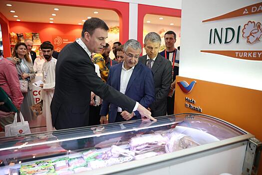 Россия и ОАЭ увеличили товарооборот сельхозпродукцией на 30% в 2024 году