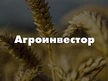 На конференции «Агрохолдинги России» эксперты подведут предварительные итоги 2019 года в АПК