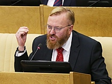 Милонов назвал закон о насилии «законом ведьм»