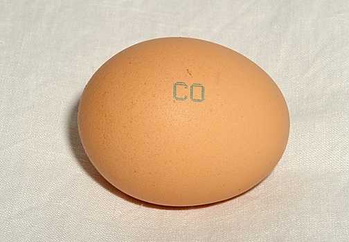Что необходимо знать о яйцах