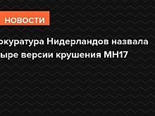 Прокуратура Нидерландов назвала четыре версии крушения MH17