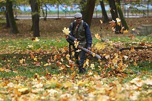 Специалист Чихринова дала советы по подготовке садовой техники к зимовке