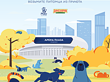 ВТБ Арена вновь сотрудничает с благотворительным фондом «Ника»