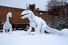 Тюменец вылепил из снега двухметрового динозавра к Новому году: «Играет роль дракона»