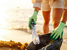 Что такое эковолонтёрство