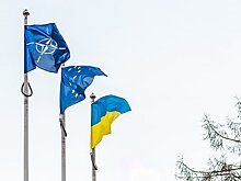 В Германии заявили о стремлении Украины вовлечь НАТО в конфликт с Россией