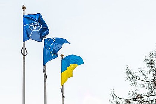 В Германии заявили о стремлении Украины вовлечь НАТО в конфликт с Россией