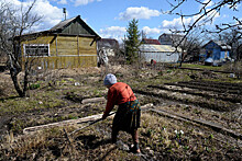 В России подорожали дачи