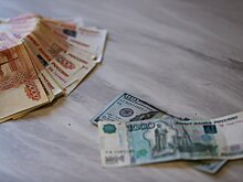 Депутат: законопроект о продлении декретных выплат прорабатывается Госдумой