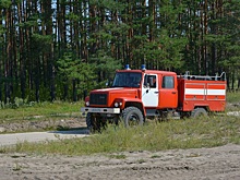 Более 400 патрулирований проведено в городских лесах с начала пожароопасного сезона
