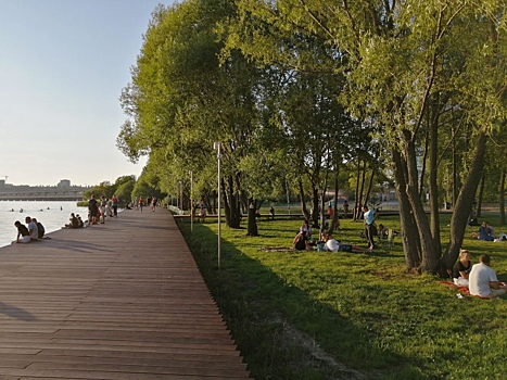 В Воронеже в рамках концессии продолжат развивать парк «Дельфин»
