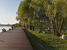 В Воронеже в рамках концессии продолжат развивать парк «Дельфин»