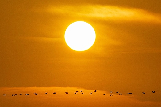 Ученые заявили о необычно тихом поведении Солнца