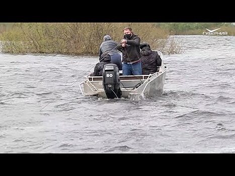Расставлены сети: в Самарской области прошла акция "Живая Волга"