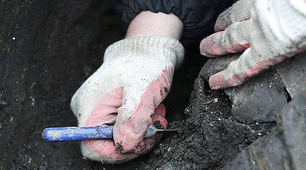 В российском регионе обнаружили шкатулку из Древнего Египта