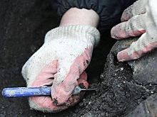 В российском регионе обнаружили шкатулку из Древнего Египта