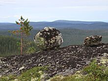 Ночные экскурсии в полярный день организует Лапландский заповедник