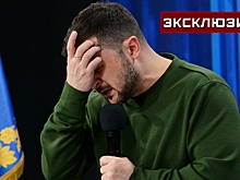 «Мальчика ставят на место»: зачем США нужен скандал с Миндичем и Зеленским