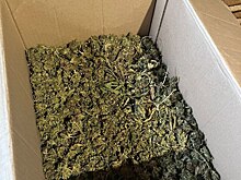 Жена просила костромича не брать странный подарок, но он взял и стал уголовником