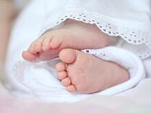 Депутаты ЗС сняли ограничения по единовременным выплатам за первенцев