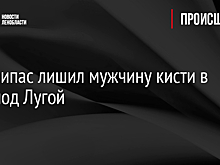 Боеприпас лишил мужчину кисти в лесу под Лугой