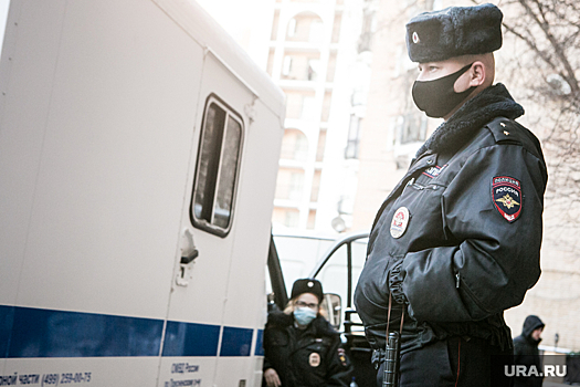 В Пушкине задержали двух мигрантов за поджог автомобилей
